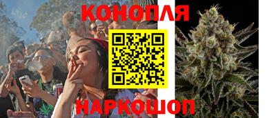 шишки Обнинск